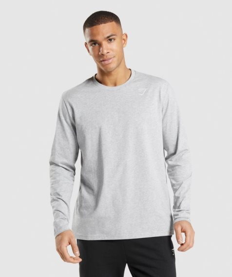 Men's Gymshark Crest Long Sleeve T-Shirts Light Grey | CA 67A531